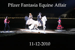 2010-11-12 Pfizer Fantasia Equine Affaire